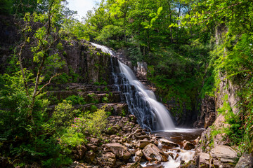 waterfall in the forest