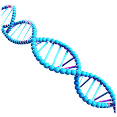 Twists of Life: The Elegance of DNA's Blueprint