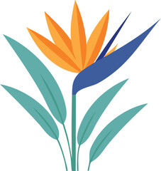Vector Minimalist Design of Symmetrical Bird of Paradise Flower with Clean Lines and Simplified Form