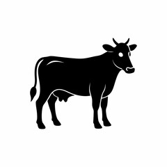 black and white cow