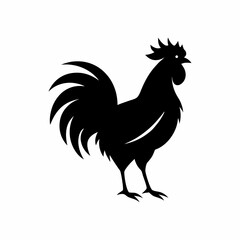 rooster vector illustration