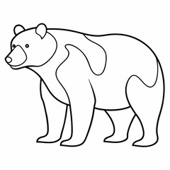 bear vector illustration