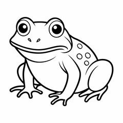 frog on white background