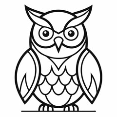 owl on white background