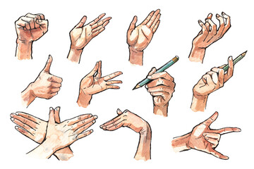 Watercolor and Ink Line Drawings of Human Hands in Various Gestures and Poses