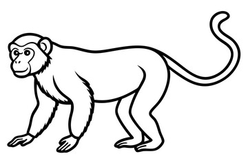 Minimalist Proboscis Monkey Vector