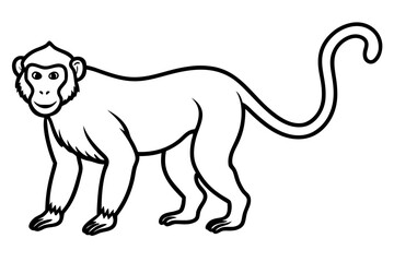 Minimalist Proboscis Monkey Vector