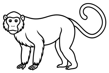 Minimalist Proboscis Monkey Vector