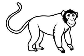 Minimalist Proboscis Monkey Vector
