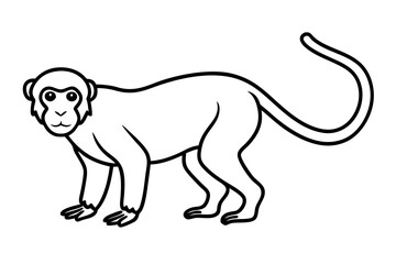 Minimalist Proboscis Monkey Vector