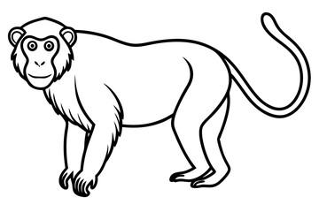 Minimalist Proboscis Monkey Vector