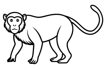 Minimalist Proboscis Monkey Vector