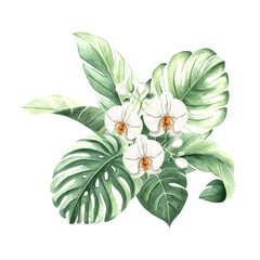 Watercolor tropical leaves and white orchid flowers isolated illustration for summer rainforest designs. Hand drawn green monstera, phalaenopsis branch and jungle plants in realistic botanical style.