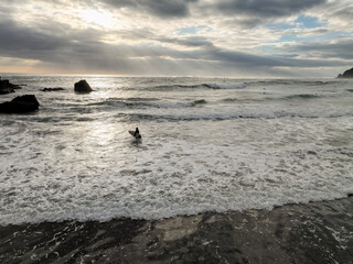 A surfer wades into the ocean with their board, ready to catch some waves. Other surfers are...