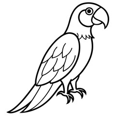 Fototapeta premium Minimalist Macaw Line Art Vector