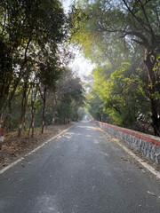 Road through the beautiful forest. A view of a rural side roads