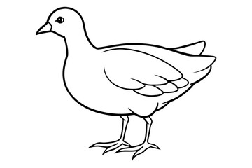 Modern Moorhen Silhouette