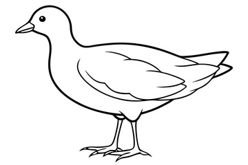Modern Moorhen Silhouette