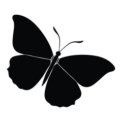 Butterfly silhouette vector illustration art design.