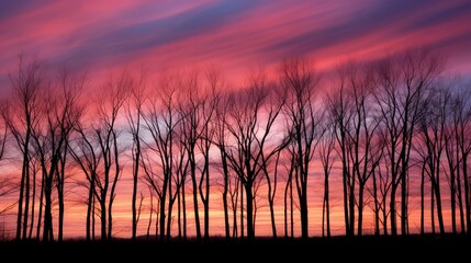 hues trees sky
