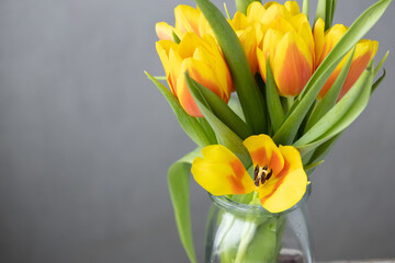 yellow tulips on gray background in glass vase. florist, flower shop. bouquet of flowers as gift for a woman on her birthday or March 8th. bouquet of tulips for holiday, postcard. space for text.