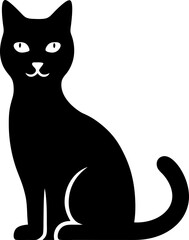 black cat on white background