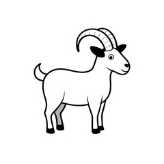 goat isolated on white background