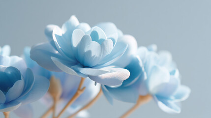 A soft focus image of several light blue flowers with light brown stems against a light background