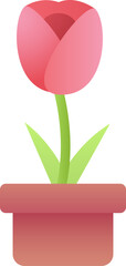 Obraz premium tulip Illustration on a white background 