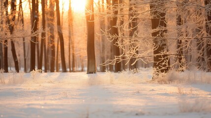 Obraz premium scene sun and snowflake