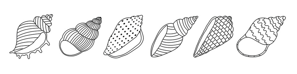 Set of hand drawn outline seashells. Editable stroke. Design elements for print, sticker, greeting card and invitation.
