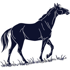 silhouette horse image on white background


