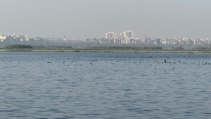 Naklejka premium Lake and blue sunny sky. Bird standing on river or lake.