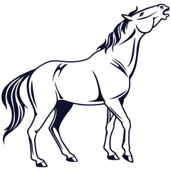 silhouette horse image on white background


