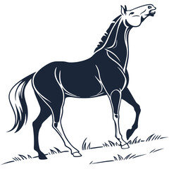 silhouette horse image on white background


