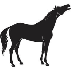 silhouette horse image on white background


