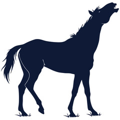 Obraz premium silhouette horse image on white background