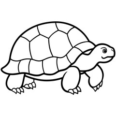 Minimalist Tortoise Line Art Vector, 