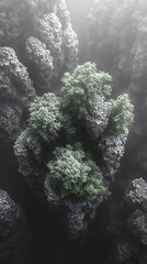 Misty Aerial View of Jagged Rock Formations mLush Green Trees on Towering Peaks | Scenic Mobile Background


