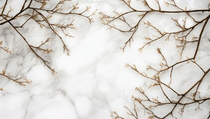 Bare tree branches against a white background create a delicate natural pattern.