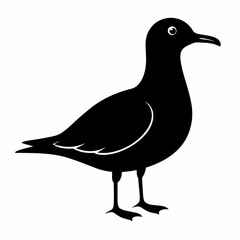 Seagull Shadow Silhouette Design