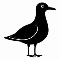 Seagull Shadow Silhouette Design