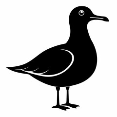 Seagull Shadow Silhouette Design