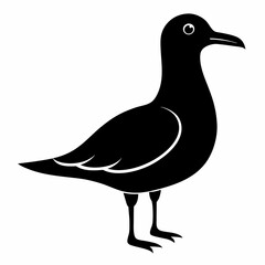 Seagull Shadow Silhouette Design