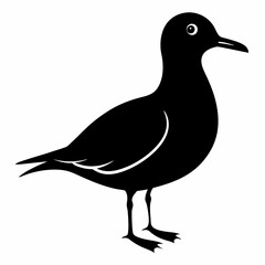 Seagull Shadow Silhouette Design