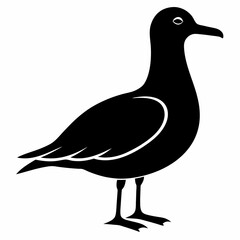 Seagull Shadow Silhouette Design