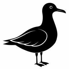 Seagull Shadow Silhouette Design