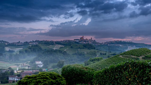 Vineyard in Piedmont landscape