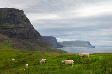 Fototapeta premium Ile de Skye Ecosse