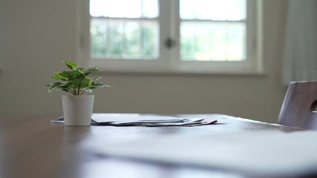 Desk with Plant in Handheld Shot